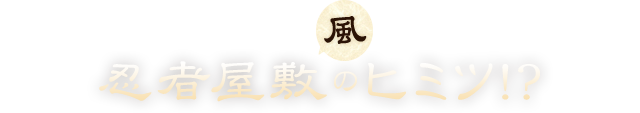 忍者屋敷風のヒミツ!?